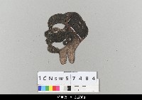 藏品(中國湖北皮影戲偶頭-淨)的圖片